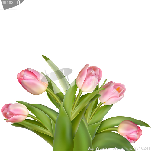 Image of Bouquet of pink tulips isolated over white. EPS 10