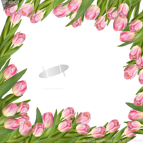 Image of Tulip flower spring border. EPS 10