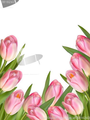 Image of Tulip flowers forming an abstract border. EPS 10