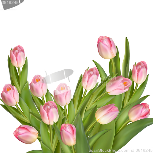 Image of Bouquet of tulips. EPS 10