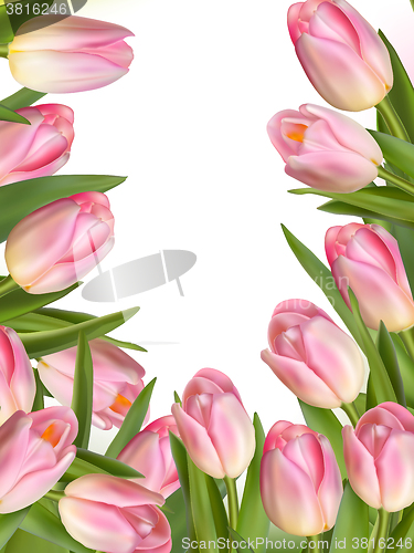 Image of Tulip flowers forming an abstract border. EPS 10