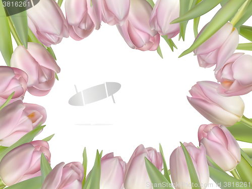 Image of Flowers background with tulips. EPS 10