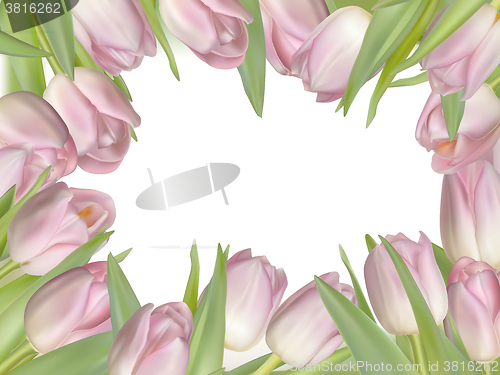 Image of Pink fresh spring flowers background. EPS 10