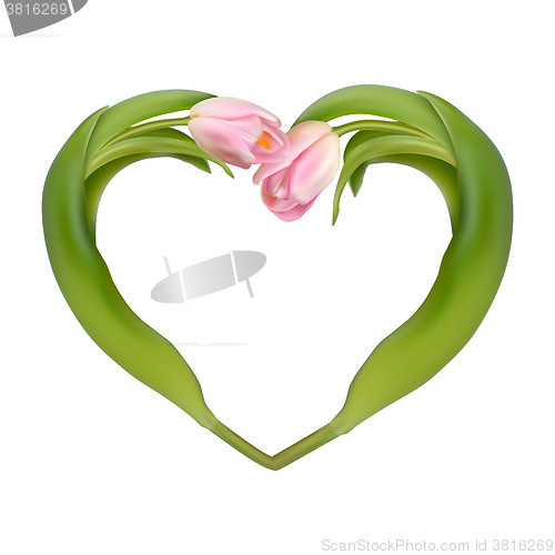 Image of Heart from two tulips. EPS 10