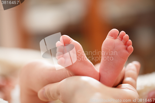 Image of Mother holds in his hands a small baby foots
