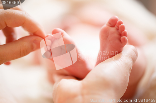 Image of Mother holds in his hands a small baby foots