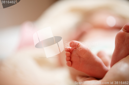 Image of Mother holds in his hands a small baby foots