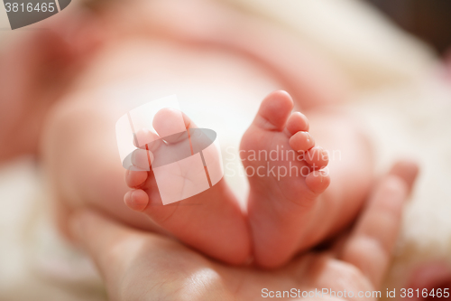 Image of Mother holds in his hands a small baby foots