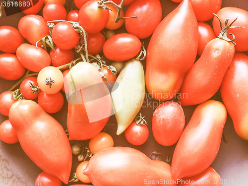 Image of Retro looking Tomato vegetable