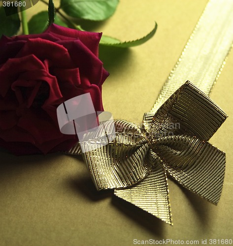 Image of red rose and golden ribbon