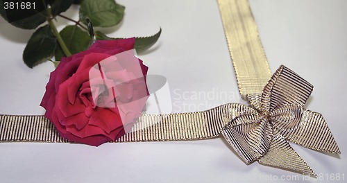 Image of red rose and golden ribbon