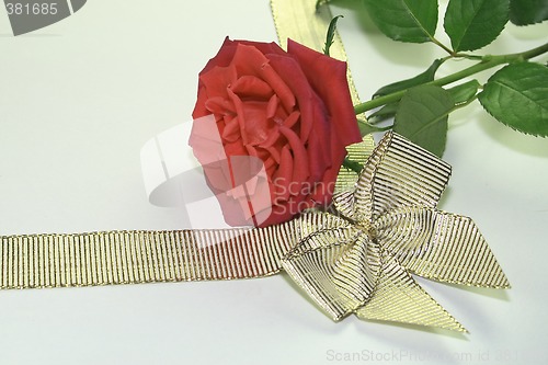 Image of red rose and golden ribbon