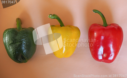 Image of Yellow Green and Red Peppers vegetables