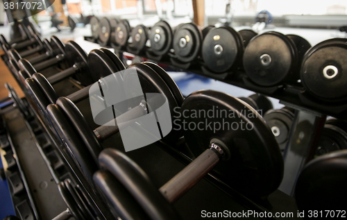 Image of close up of dumbbells and sports equipment in gym