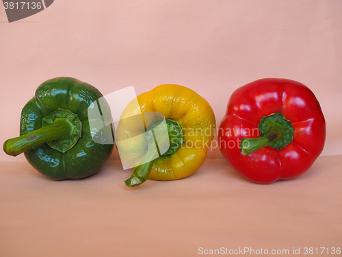 Image of Yellow Green and Red Peppers vegetables