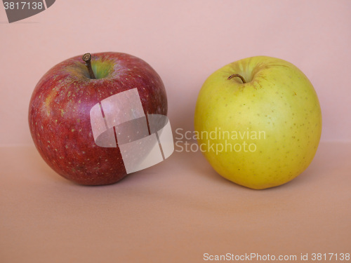 Image of Red and yellow apple fruit