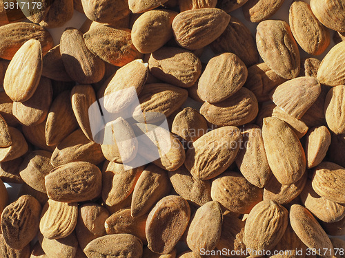 Image of Almonds dried fruit