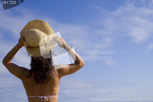 Image of Enjoying the summer breeze