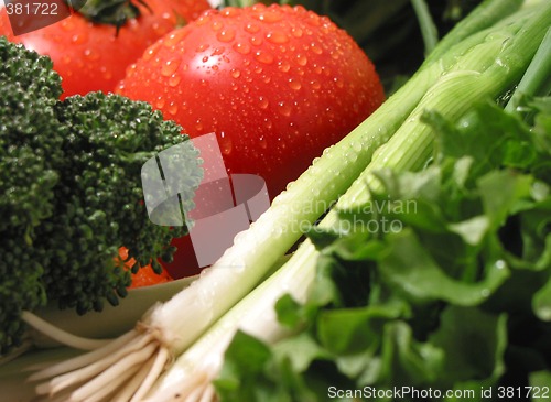 Image of Fresh wet vegetables