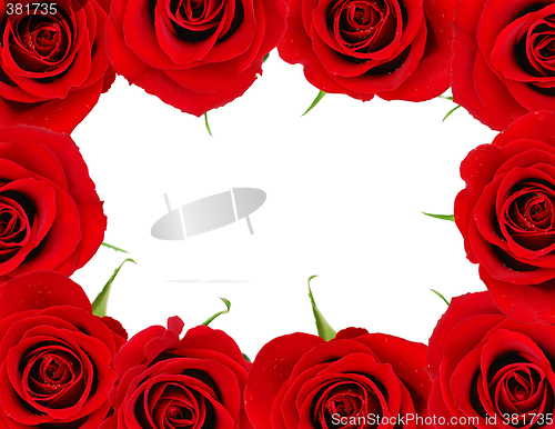 Image of Red rose frame