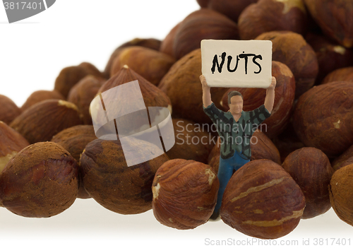 Image of Miniature worker working with hazelnuts