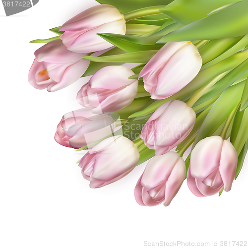 Image of Beautiful bouquet of pink tulips. EPS 10