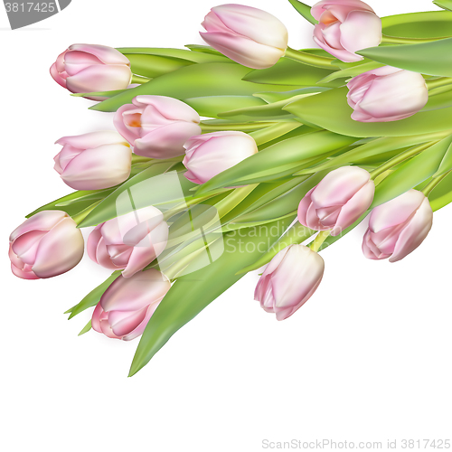 Image of Beautiful bouquet of pink tulips. EPS 10