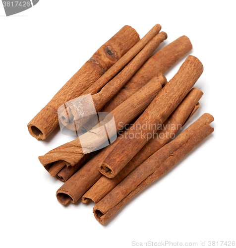 Image of Cinnamon sticks. Top view.