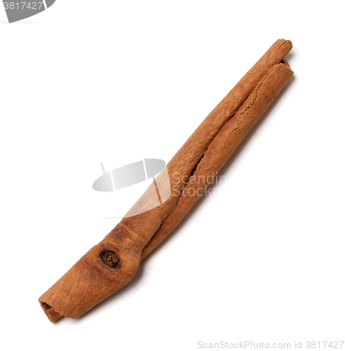 Image of Cinnamon stick on white