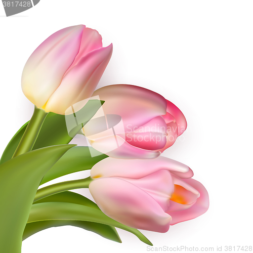 Image of Beautiful bouquet of pink tulips. EPS 10