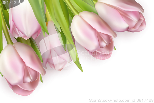 Image of Bouquet of pink tulips. EPS 10