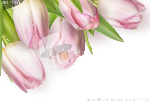 Image of Bouquet of pink tulips. EPS 10
