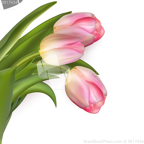 Image of Beautiful bouquet of pink tulips. EPS 10