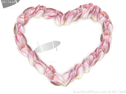 Image of Heart shaped tulip. EPS 10