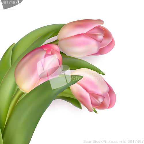 Image of Beautiful bouquet of pink tulips. EPS 10