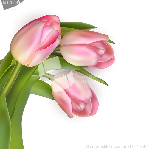 Image of Beautiful bouquet of pink tulips. EPS 10