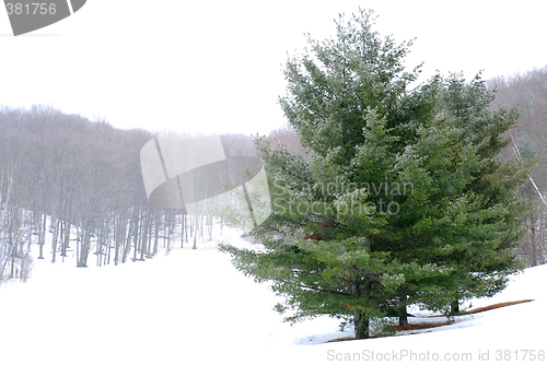 Image of Winter landscape