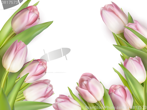 Image of Tulips design template or background. EPS 10