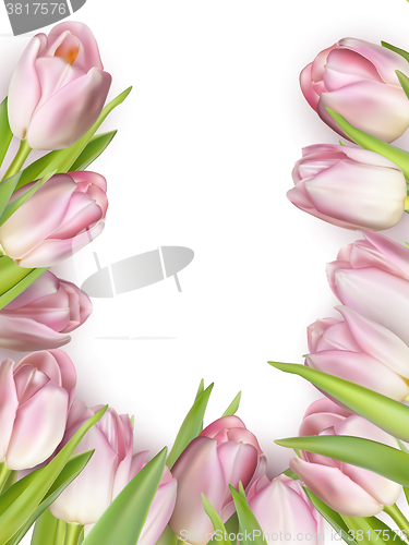 Image of Pink fresh tulips on white. EPS 10