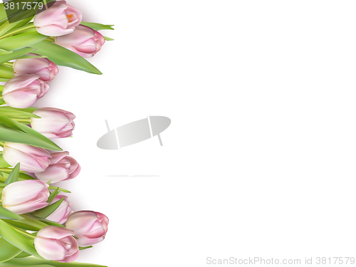 Image of Beautiful bouquet of pink tulips. EPS 10