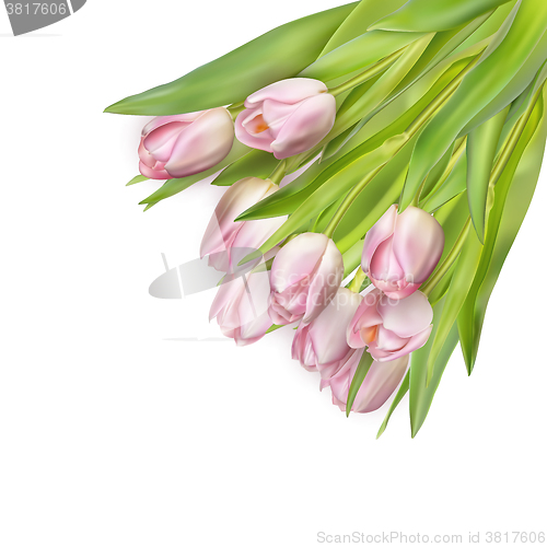 Image of Beautiful bouquet of pink tulips. EPS 10