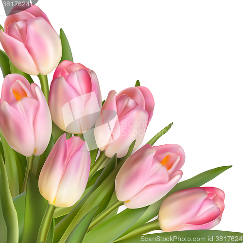 Image of Tulips design template or background. EPS 10