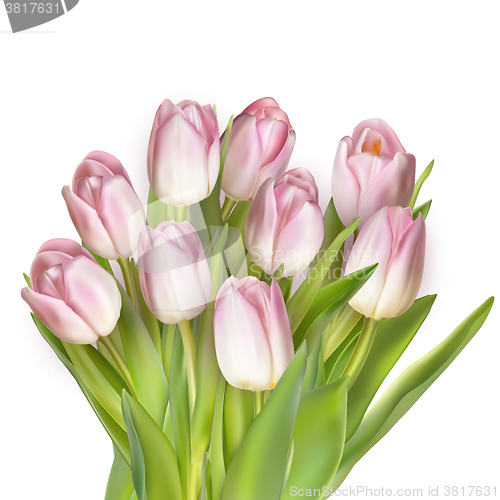 Image of Bouquet of pink tulips. EPS 10