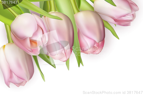 Image of Bouquet of pink tulips. EPS 10