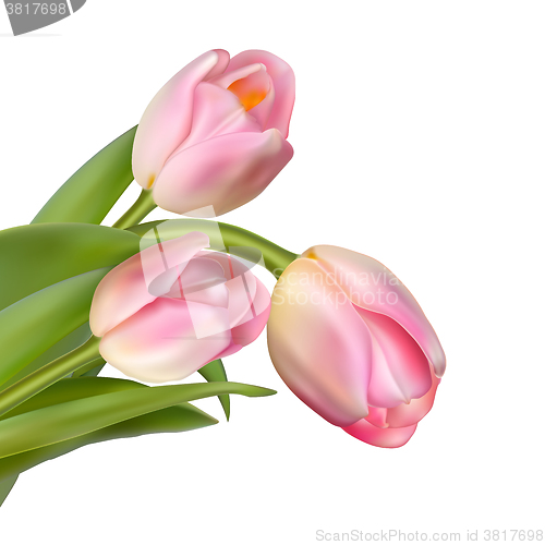 Image of Beautiful bouquet of pink tulips. EPS 10