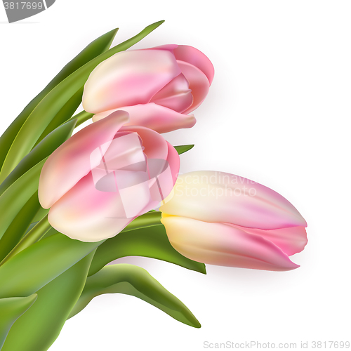 Image of Beautiful bouquet of pink tulips. EPS 10