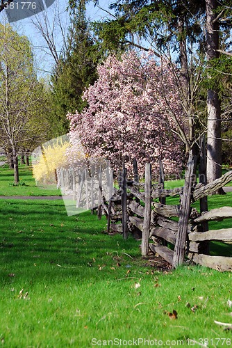 Image of Spring landscape