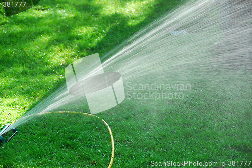 Image of Sprinkler on lawn