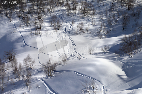 Image of Off-piste slope with track from ski and snowboard on sunny day