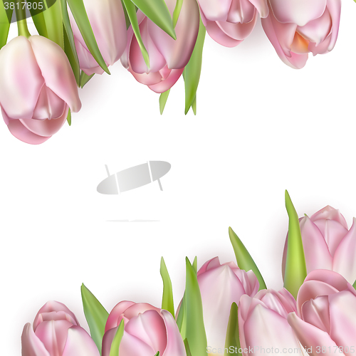 Image of Colorful tulip blooms card. EPS 10